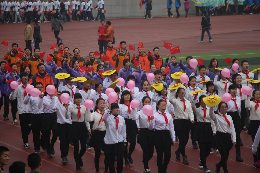 必赢官网职工踊跃参加2015年秋季运动会