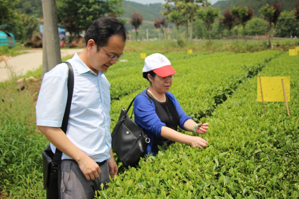 教师进农户，理论下基层——必赢中国官方网站全体党员教师赴英山县乌云山村学习调研